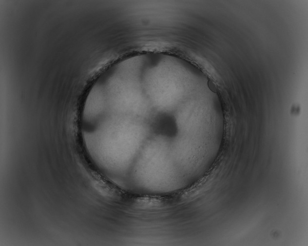 X0000100860354200807181141