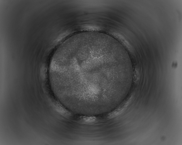 X0000100860355200807181141