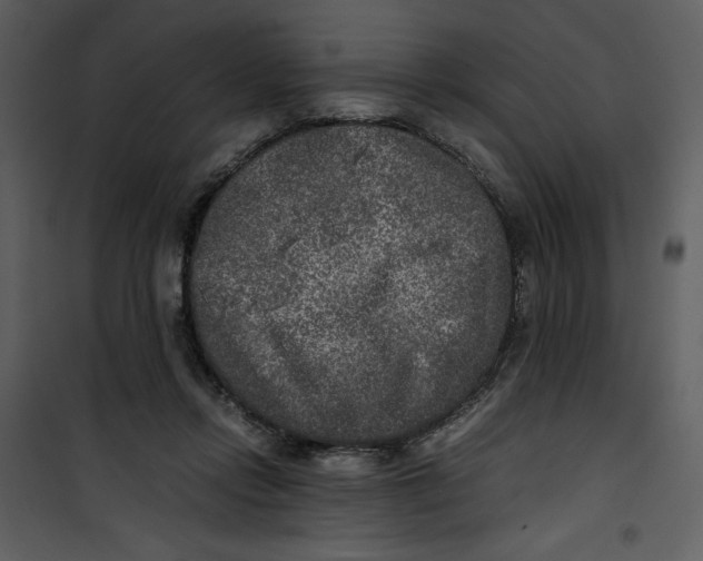 X0000100860358200807181141