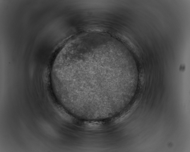 X0000100860359200807181141