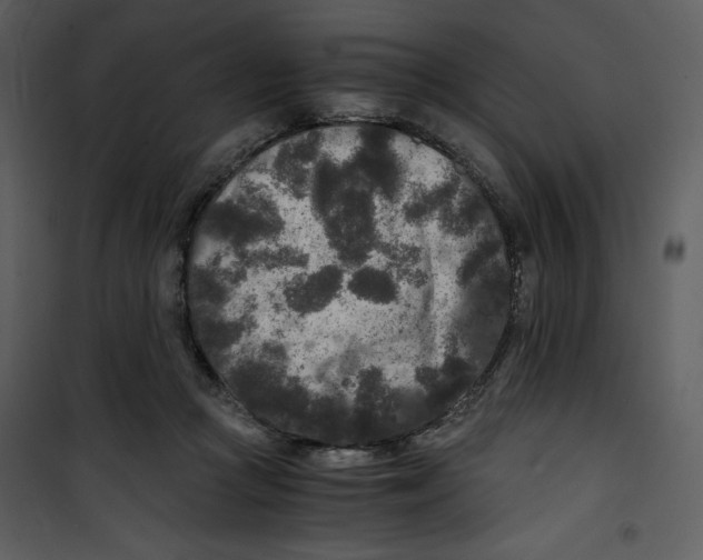 X0000100860361200807181141