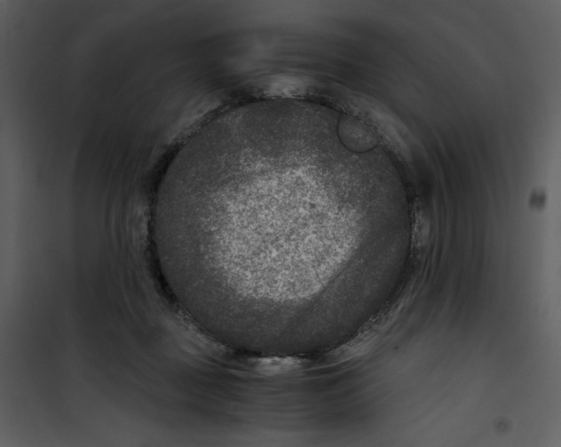 X0000100860363200807181141