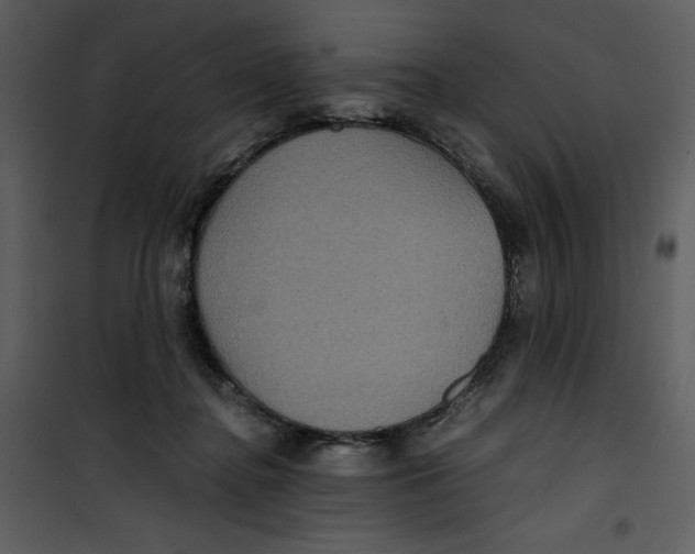 X0000100860364200807181141