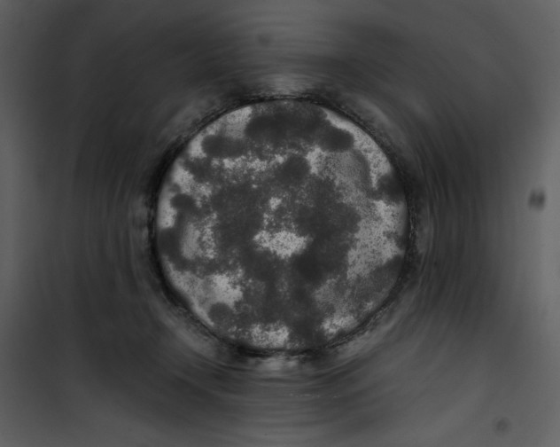 X0000100860366200807181141