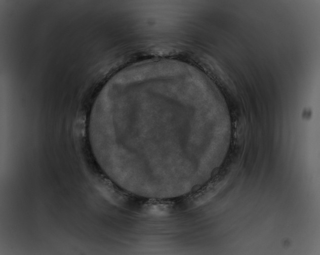 X0000100860368200807181141