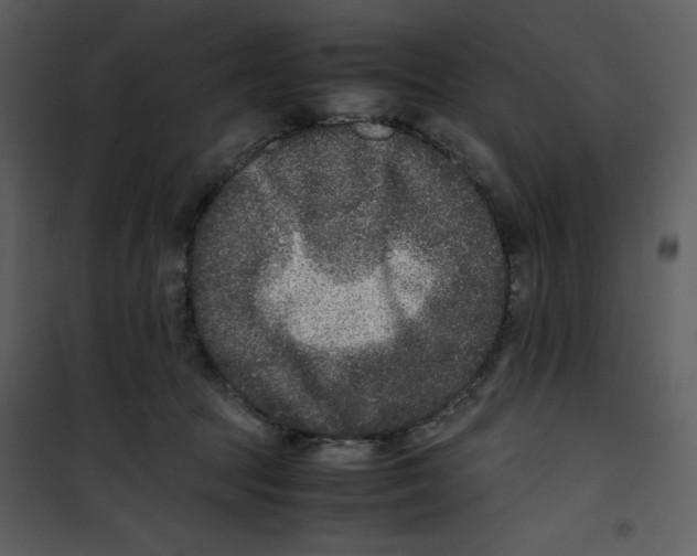 X0000100860369200807181141