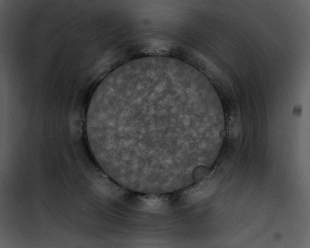 X0000100860370200807181141