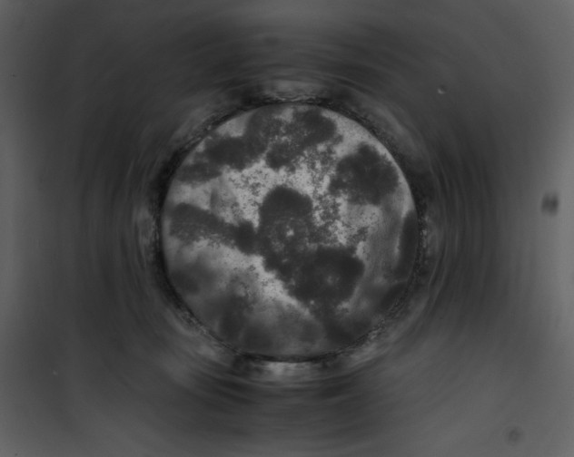 X0000100860371200807181141