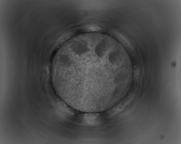 X0000100860373200807181141