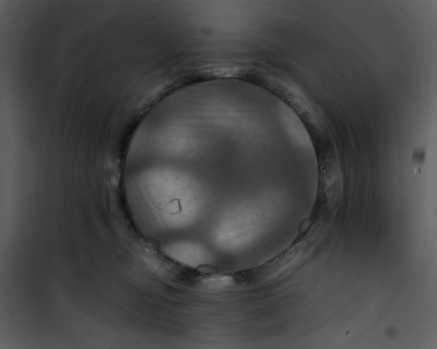 X0000100860374200807181141