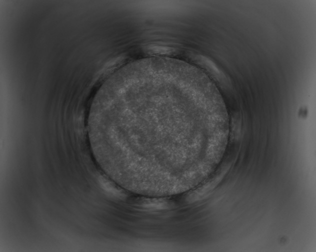 X0000100860377200807181141