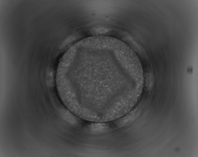 X0000100860378200807181141