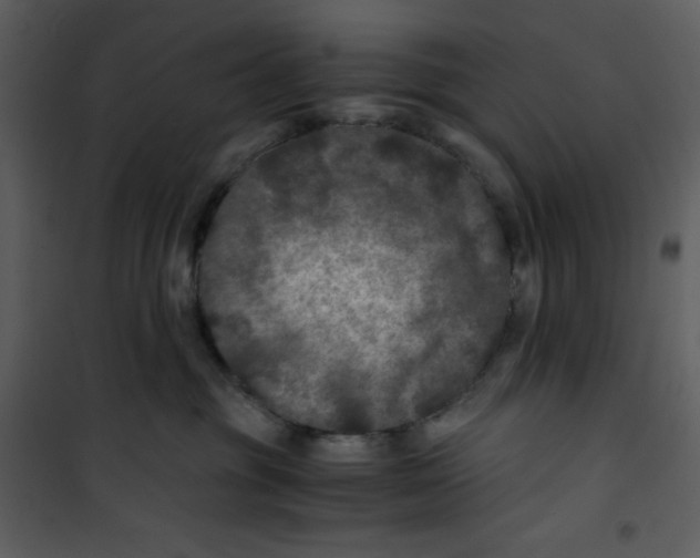 X0000100860381200807181141