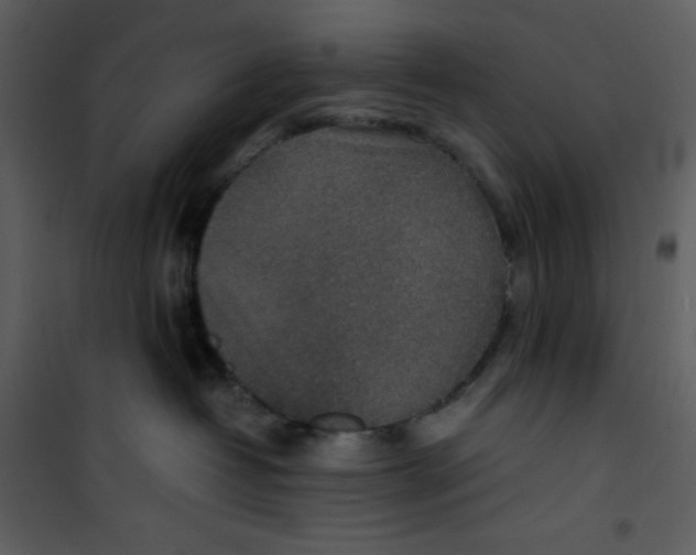 X0000100860382200807181142