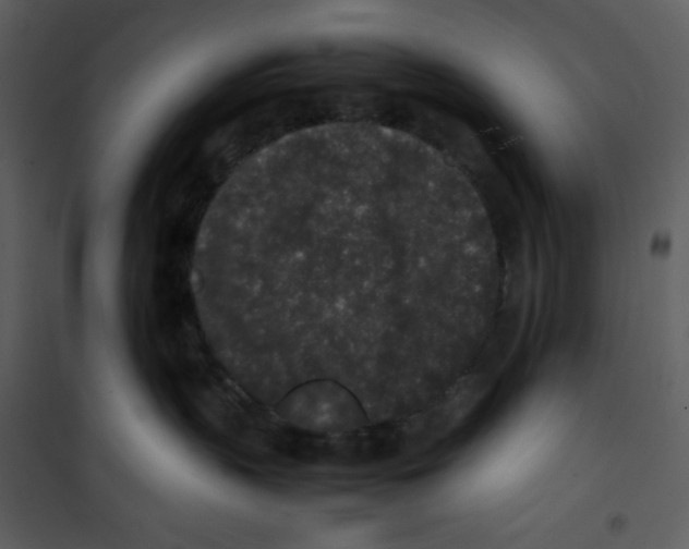 X0000100860383200807181142