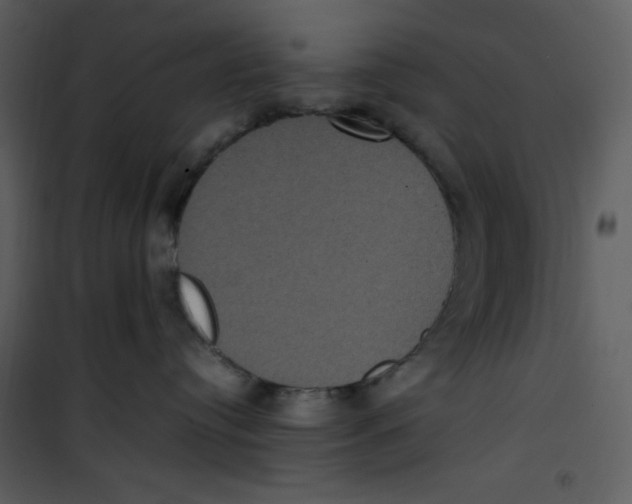 X0000100860384200807181142