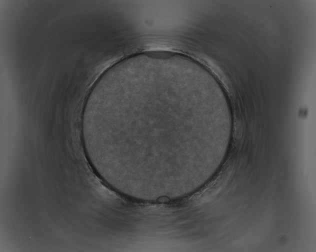 X0000100860385200807181141