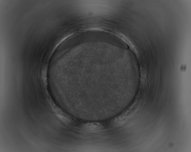 X0000100860386200807181141