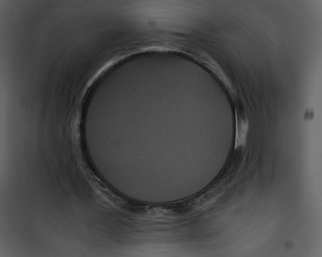 X0000100860387200807181141