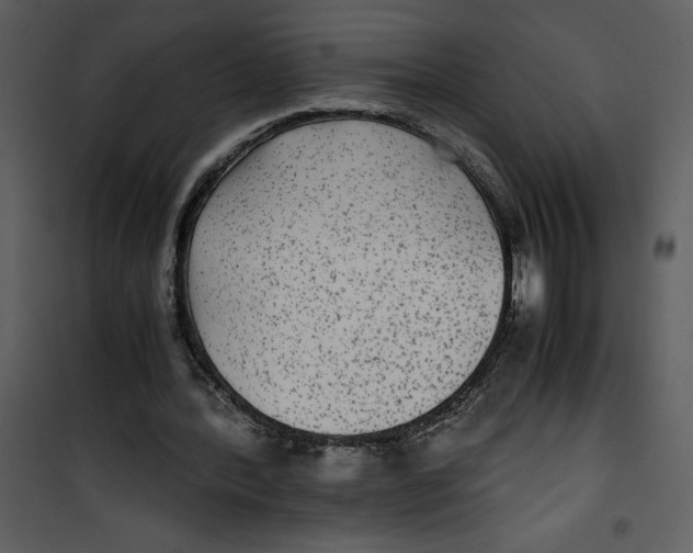 X0000100860388200807181141