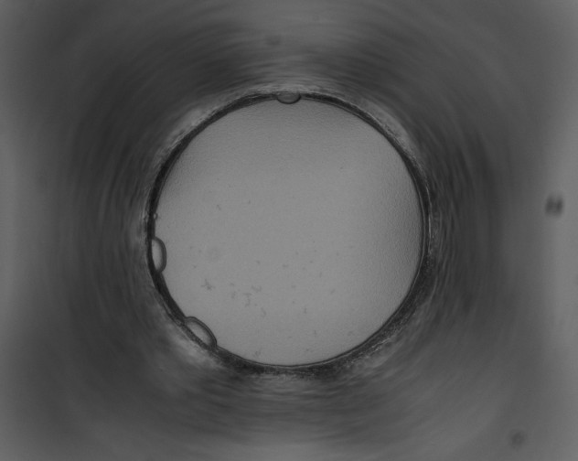 X0000100860389200807181141