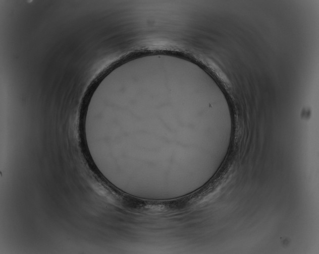 X0000100860391200807181141