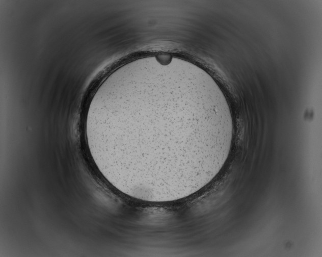 X0000100860392200807181141