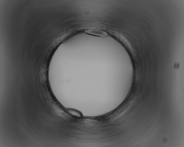 X0000100860393200807181141