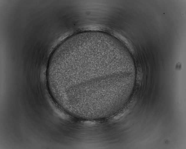 X0000100860394200807181141