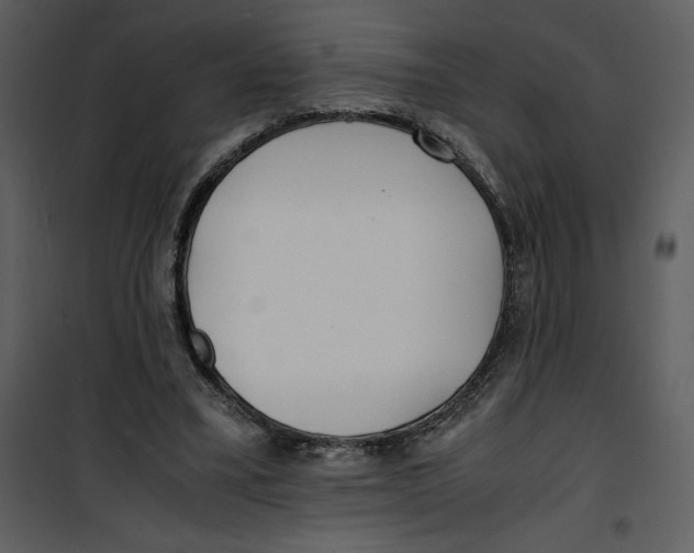 X0000100860395200807181141