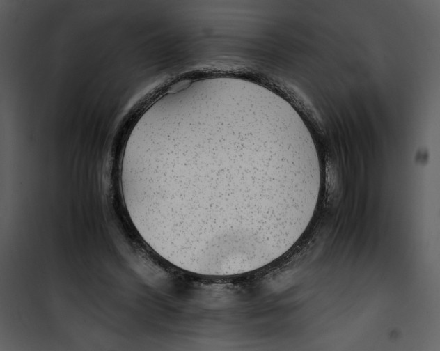 X0000100860396200807181141