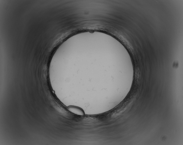 X0000100860397200807181141