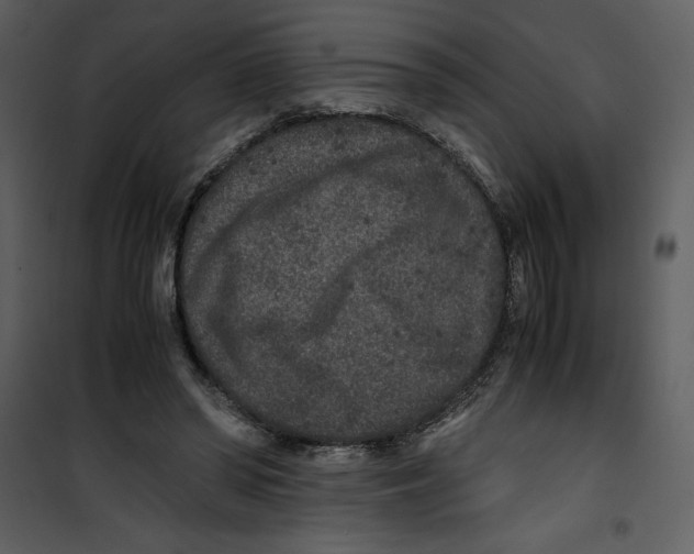 X0000100860398200807181141