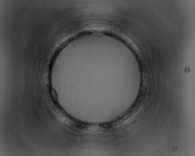 X0000100860399200807181141