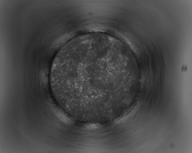 X0000100860402200807181141