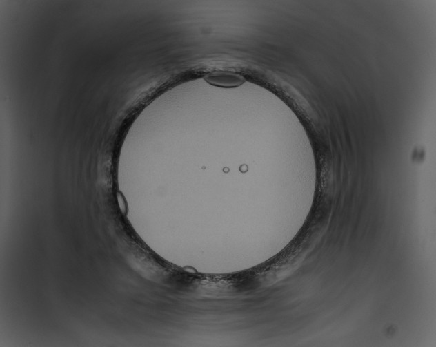 X0000100860403200807181141