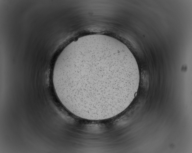 X0000100860404200807181141