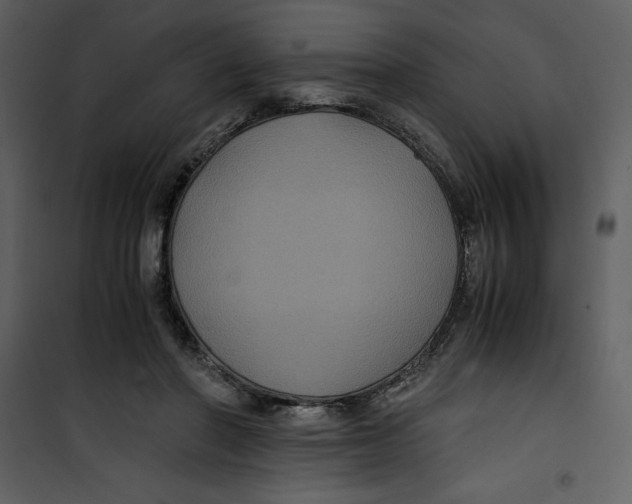 X0000100860406200807181141