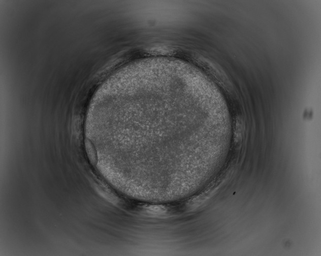 X0000100860409200807181141