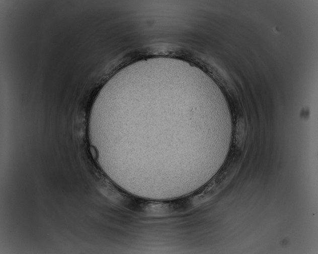 X0000100860413200807181140