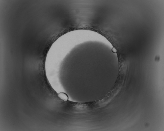 X0000100860415200807181140