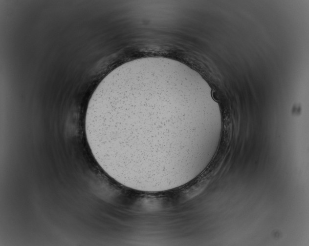 X0000100860416200807181140