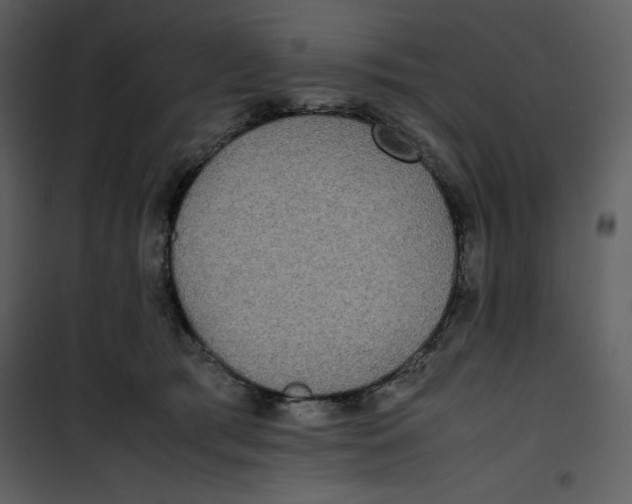 X0000100860417200807181140