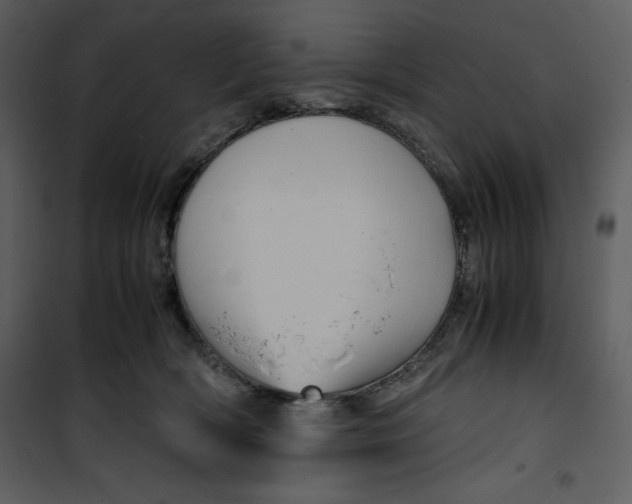 X0000100860418200807181140