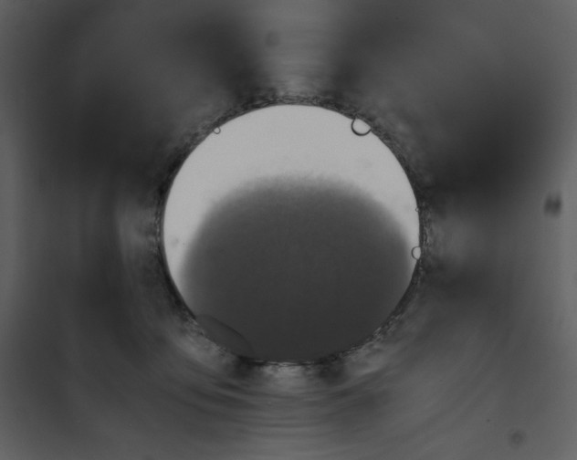 X0000100860419200807181140