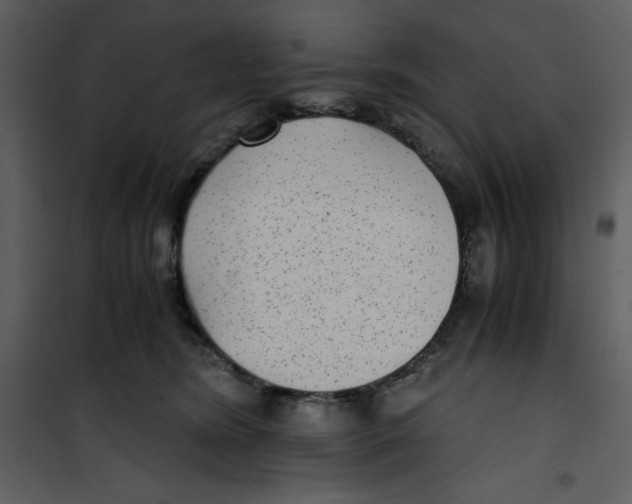 X0000100860420200807181140