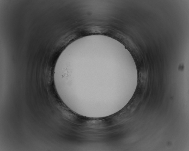 X0000100860422200807181140