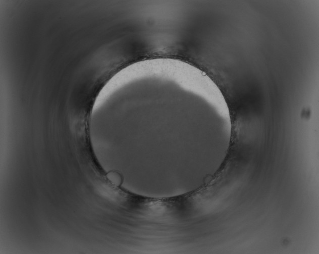 X0000100860423200807181140