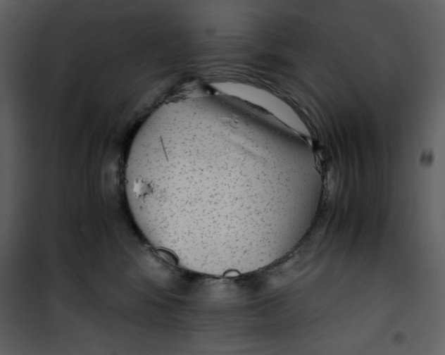 X0000100860424200807181140