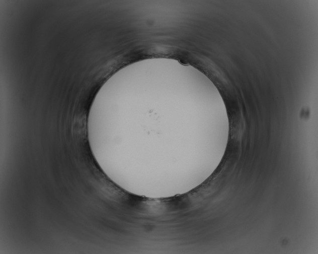 X0000100860425200807181140